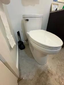 Toilet Issue - Photo 3