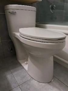 Toilet Issue - Photo 4