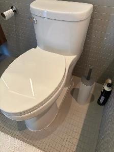 Toilet Issue - Photo 5