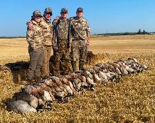 Guided Goose and Duck hunting