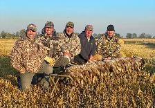Guided Goose and Duck hunting - Photo 2