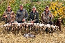 Guided Goose and Duck hunting - Photo 3
