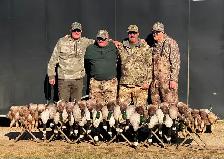 Guided Goose and Duck hunting - Photo 5