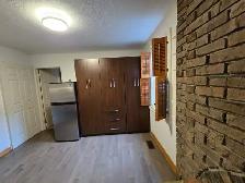1 Bed Apt for Hwy 404/401(Sheppard/Pharmacy/Finch) Aug - Photo 3