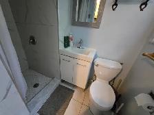1 Bed Apt for Hwy 404/401(Sheppard/Pharmacy/Finch) Aug - Photo 6