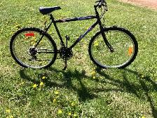 ccm bike