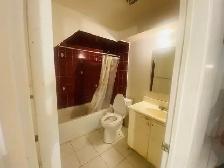 Room & Basement for rent Brampton - Photo 2