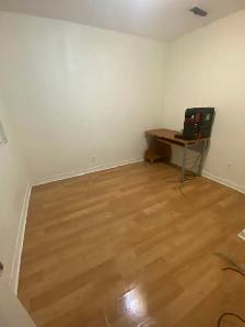 Room for rent near Finch station - Photo 4