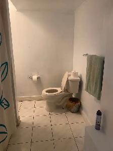 Room for rent near Finch station - Photo 6
