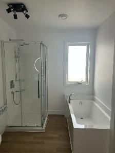 Très beau 4 1/2 Remis à neuf. Libre, 1ier mois gratuit - Photo 15