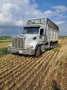 Harvest help wanted.