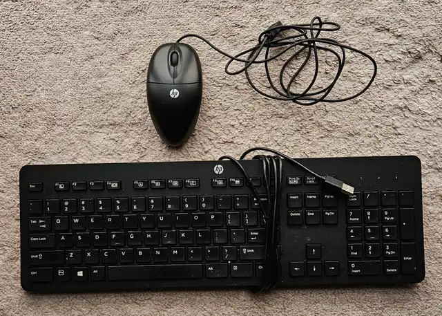 BRAND NEW ORIGINAL HP KEYBOARD AND MOUSE
