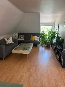 Bright One-Bedroom apartment for rent in Sandy Hill