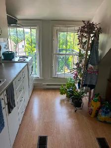 Bright One-Bedroom apartment for rent in Sandy Hill - Photo 2