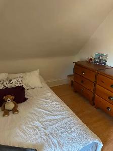 Bright One-Bedroom apartment for rent in Sandy Hill - Photo 6