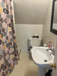 Bright One-Bedroom apartment for rent in Sandy Hill - Photo 8