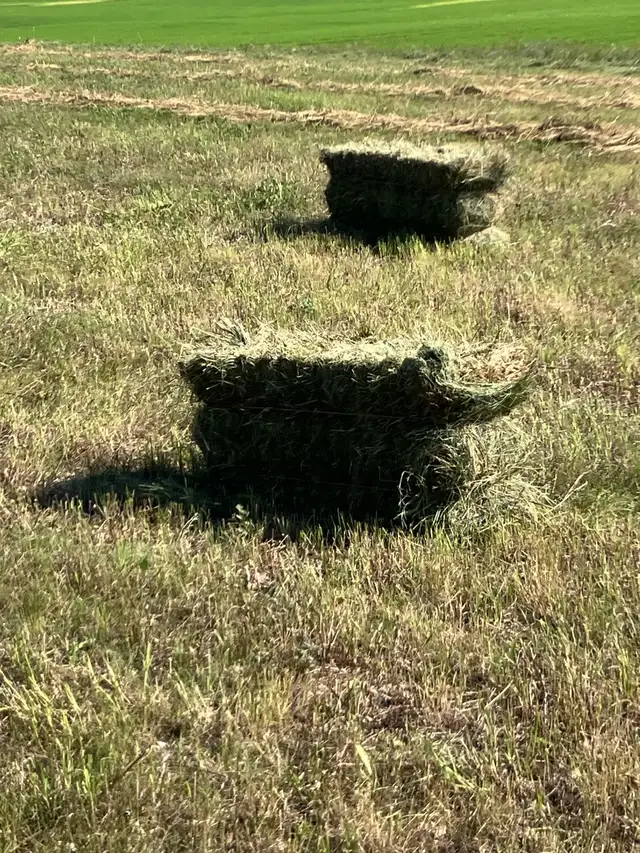 square hay bales