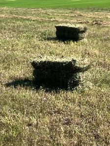 square hay bales