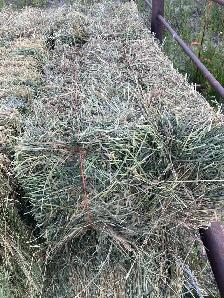 square hay bales - Photo 3