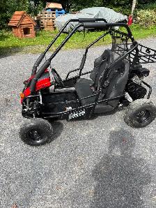 Coleman dune buggy