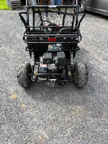 Coleman dune buggy - Photo 2
