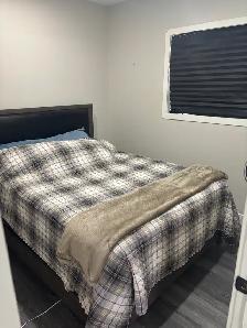 Updated 1 Bedroom   Den | Main Floor | $1,450 Inclusive - Photo 4