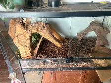snake/reptile cage and supplies