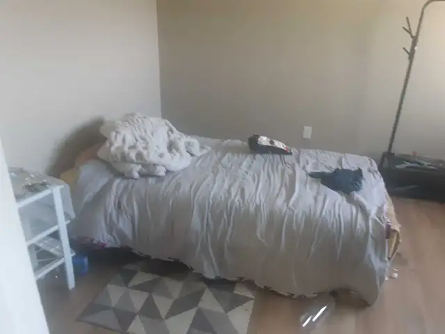 roommates wanted