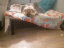 roommates wanted - Photo 5