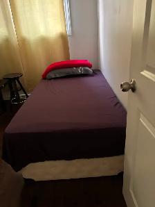 ROOM FOR RENT IN RUNDLE NE - $600