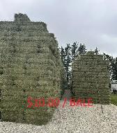Clean, Quality Horse Hay For Sale - Photo 2