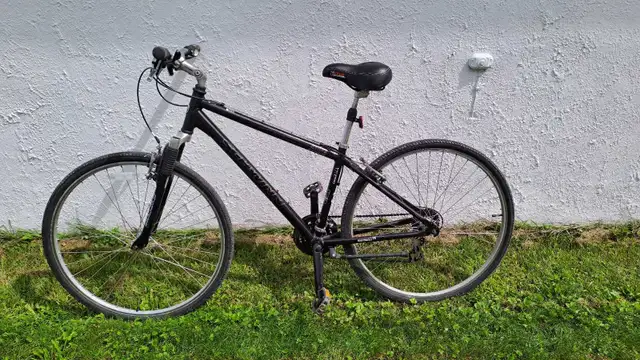 Schwinn Hydra