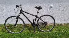 Schwinn Hydra