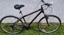 Schwinn Hydra - Photo 2