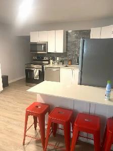 Furnished & unfurnished Rooms for rent  in Waterloo near UW - Photo 4