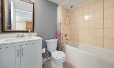One bedroom available in scarbrough for rent from Oct 1st - Photo 8