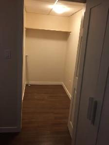 3 Bdrm Bsmt Suite for rent in Meadowlark (Util incl) (West Edm) - Photo 8