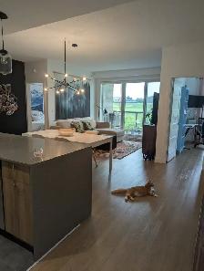 CONDO 4 1/2   SALLE D'EAU - A LOUER - Photo 5