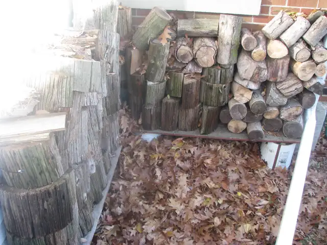 Fire Pit , Cooking Grate and fire wood for sale !