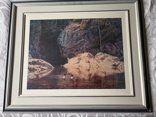 Limited edition art work