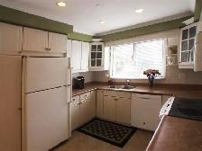 1 room close to UTM Dundas/Mavis female only - Photo 7
