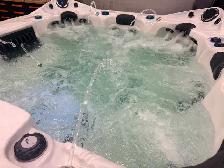 7-8 Person Dynasty Spas Tide Hot Tub w Bluetooth stereo - Photo 4