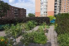4 1/2 - Ste-Foy -immeuble de prestige - libre, sept, oct - Photo 9