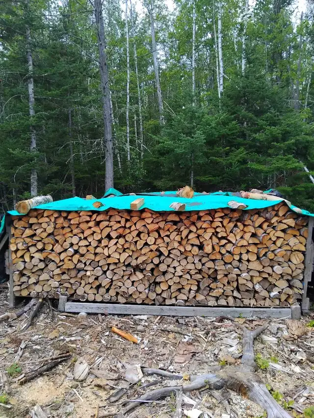 Firewood