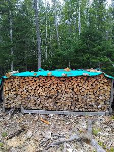 Firewood
