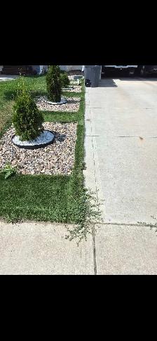 weed control service - Photo 2