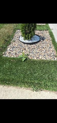 weed control service - Photo 3