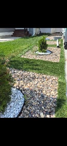 weed control service - Photo 4