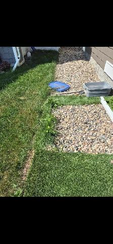 weed control service - Photo 5