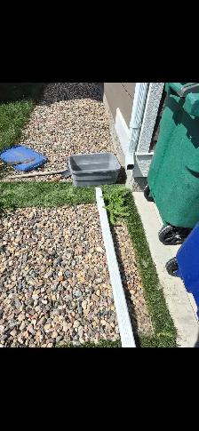 weed control service - Photo 6